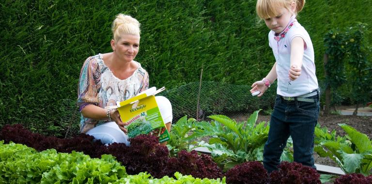 Ecostyle moestuin