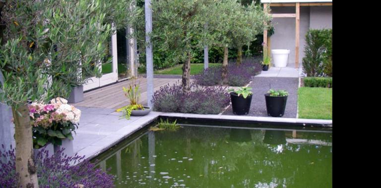 Speelse strakke tuin Oost-Souburg