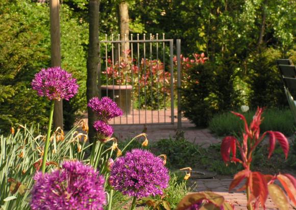 Tuinonderhoud