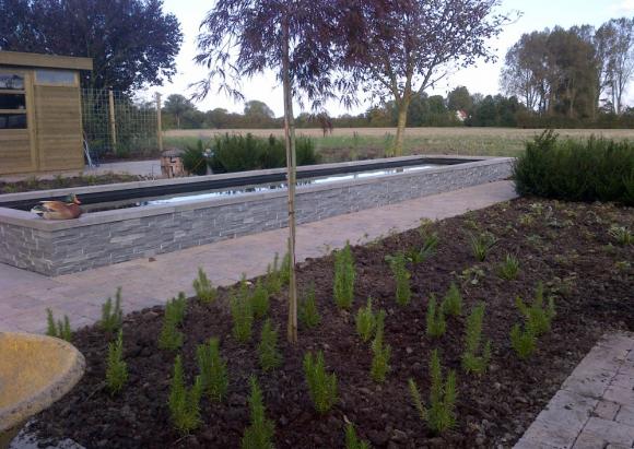 Strakke lijnen in vaste planten tuin