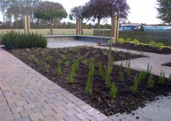 Strakke lijnen in vaste planten tuin