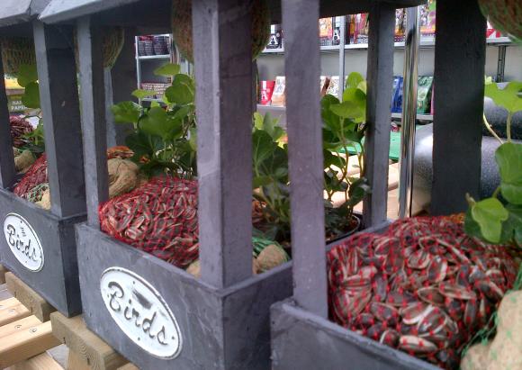 Vogels voeren